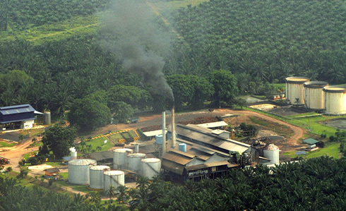 Palm Oil Industry - Abhignas